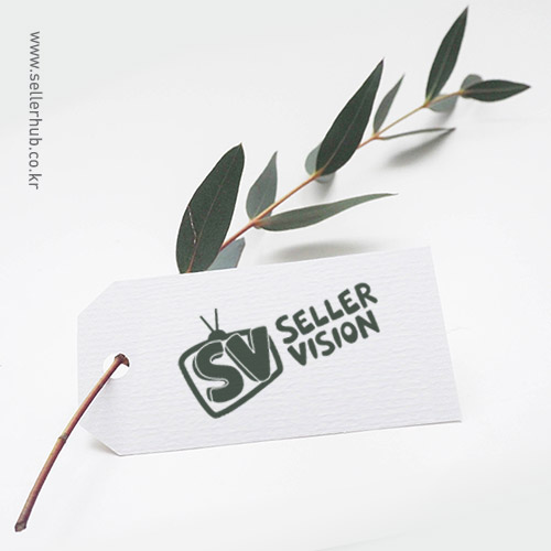SELLER VISION B.I.